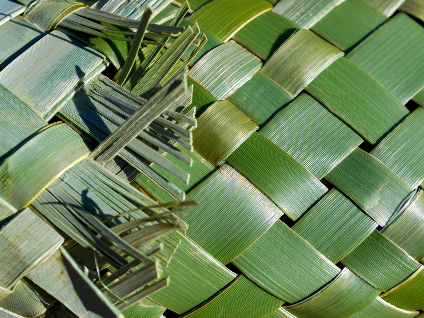 Māori Cancer Kaiarahi Service