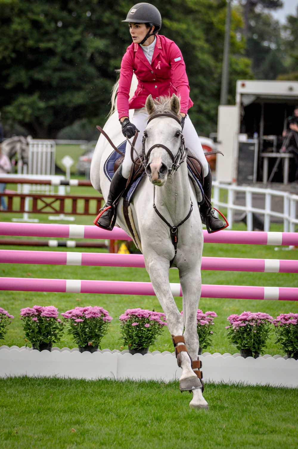 Jump for Cancer Hagley