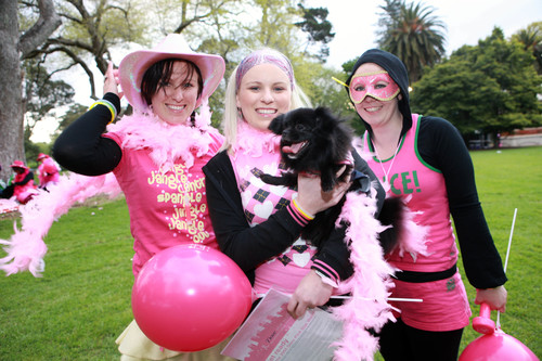 Be a STAR and walk for Breast Cancer